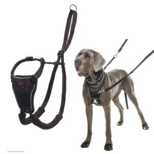 261317__43670 HALTI No Pull Harness