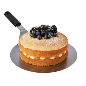 33383_1 Lakeland Stainless Steel Cake Lifter 25cm